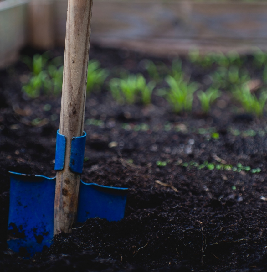 Veja 5 dicas imperdíveis para começar uma horta em casa